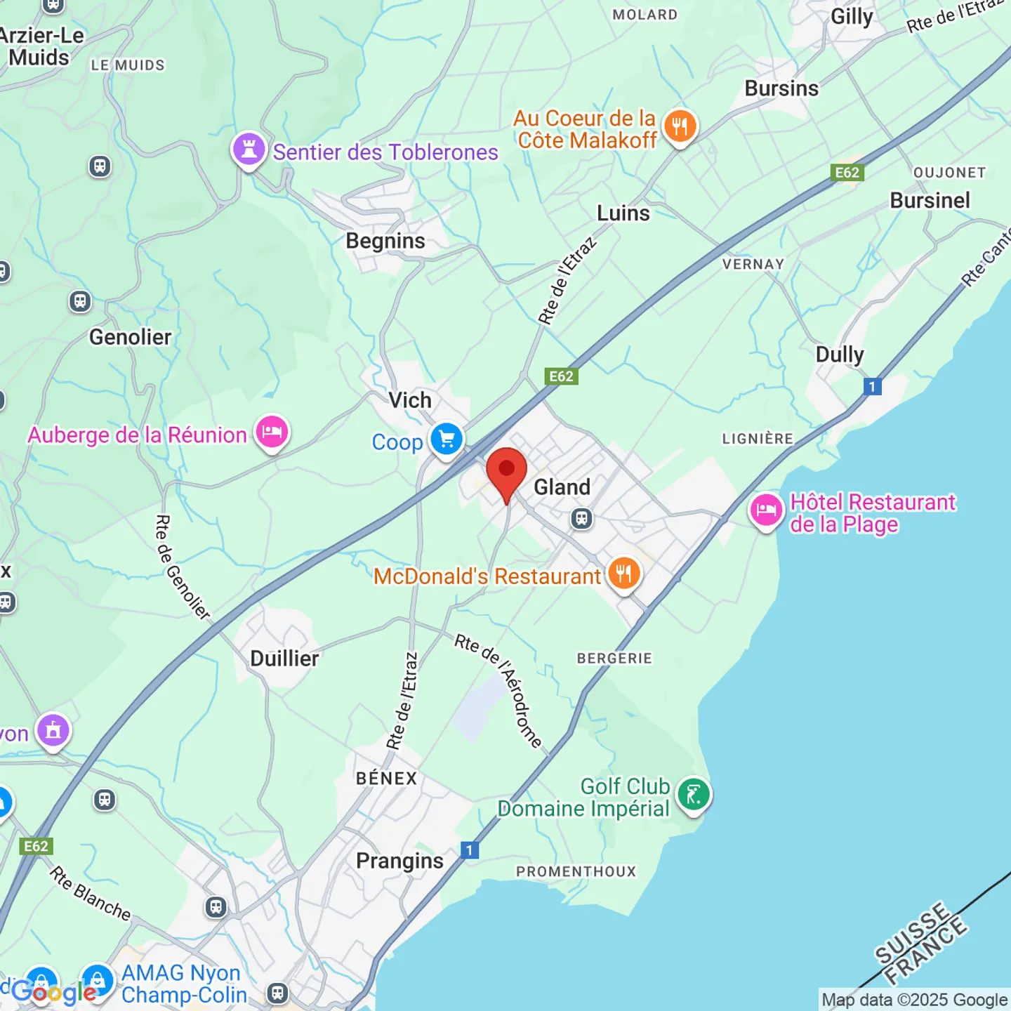 FOR RENT - Magnificent 3.5 Room Apartment in Gland - Photo 7 of 7