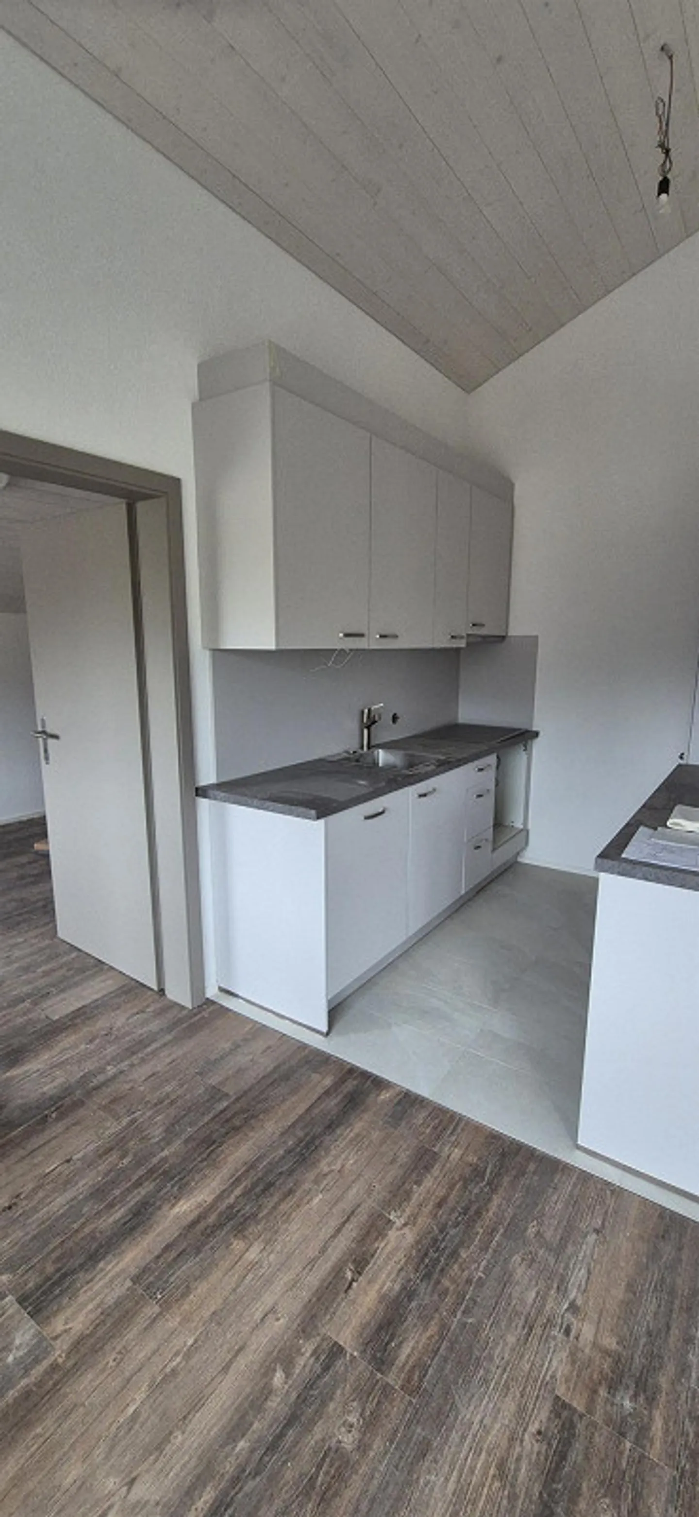 Completely renovated and spacious 4.5 room apartment with large hobby room - Photo 1 of 4
