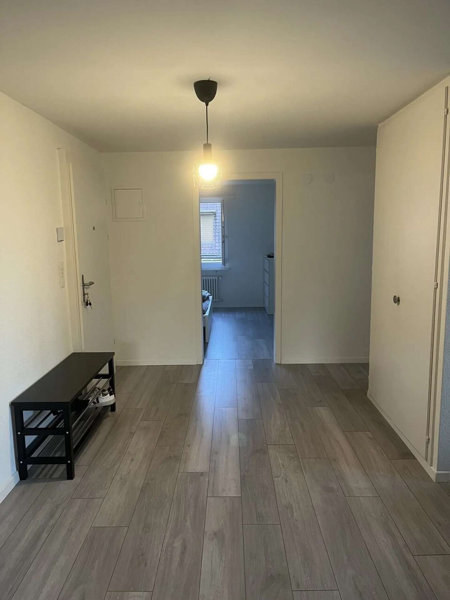 Incantevole appartamento di 2.5 locali a Liestal - Foto 4 di 10