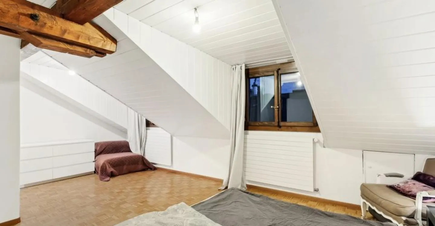 Appartement culturel à Genève - Photo 6 sur 6