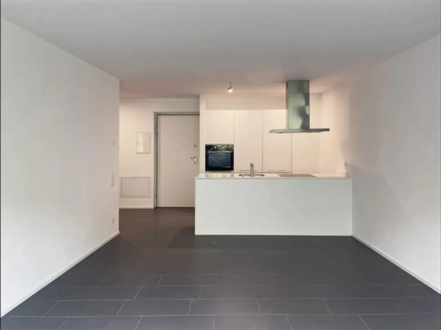 Pedrinate: Income-generating Apartment 2.5 Rooms - Photo 3 of 5