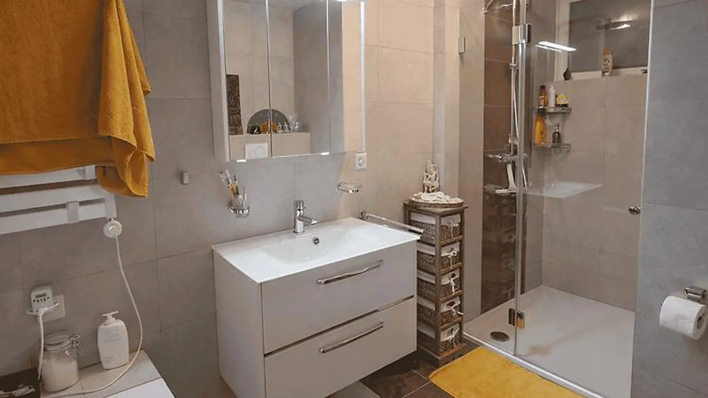 4½ ROOM HOUSE IN ECHALLENS (VD), FURNISHED, FIXED TERM - Photo 9 of 10