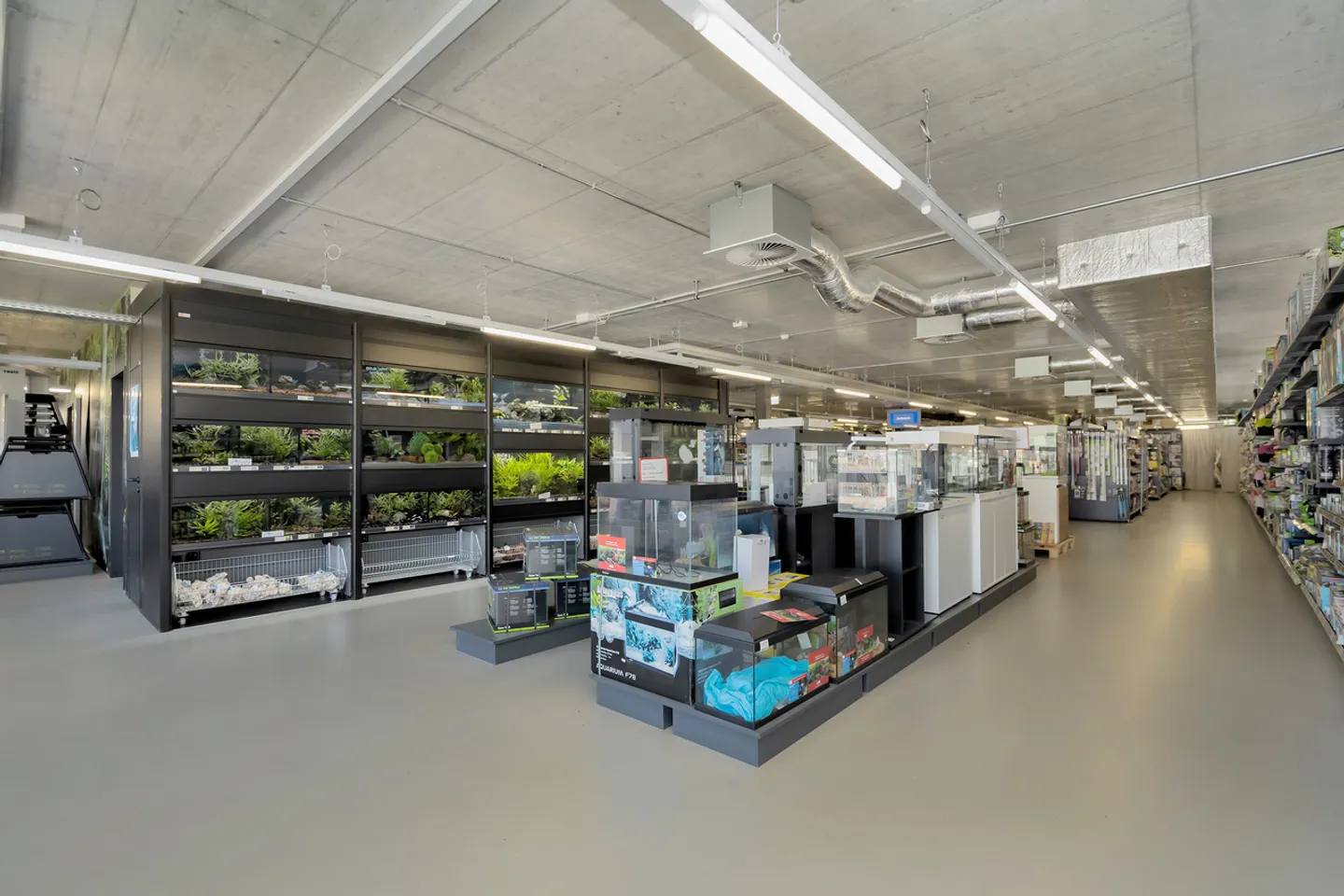 ATTRAKTIVE 500 m² BÜROFLÄCHE AN BESTER LAGE IN MURI BEI BERN - Foto 2 von 12