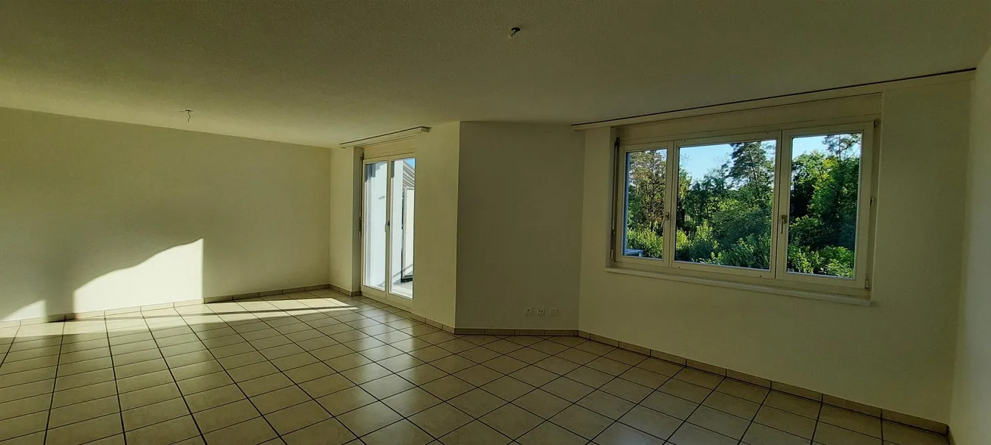 Spacious 3.5 room apartment adjacent to a nature reserve - Photo 5 of 11