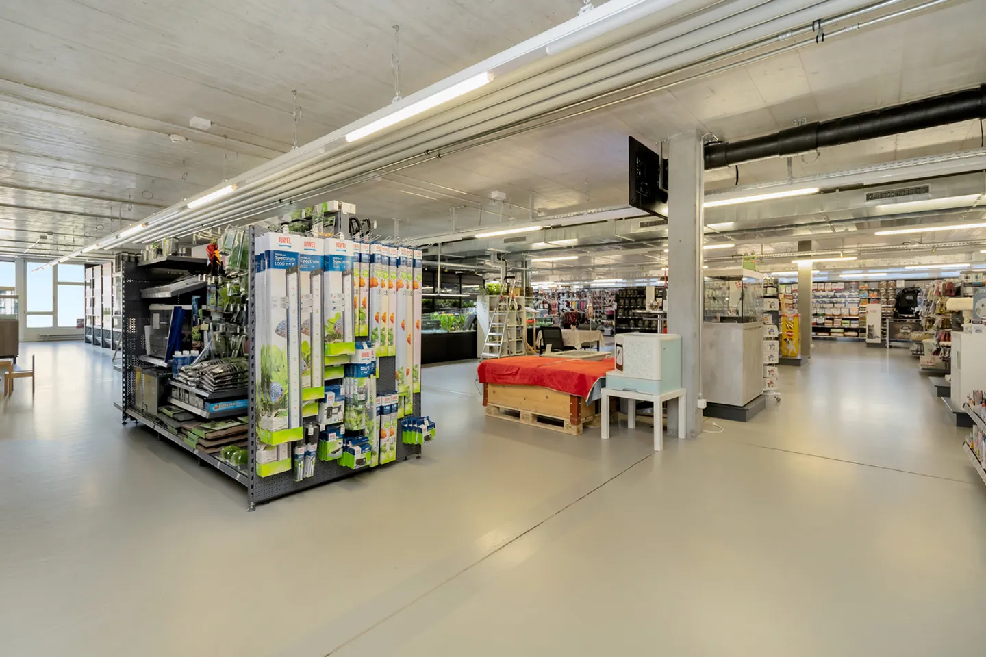 ATTRAKTIVE 500 m² BÜROFLÄCHE AN BESTER LAGE IN MURI BEI BERN - Foto 3 von 12