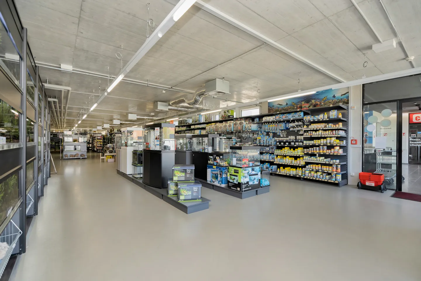 ATTRAKTIVE 500 m² BÜROFLÄCHE AN BESTER LAGE IN MURI BEI BERN - Foto 4 von 12