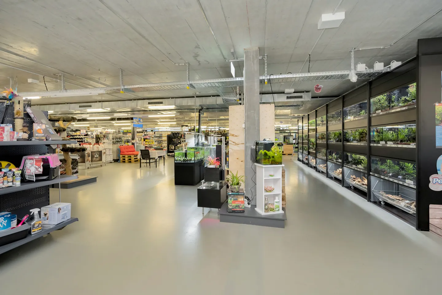 ATTRAKTIVE 500 m² BÜROFLÄCHE AN BESTER LAGE IN MURI BEI BERN - Foto 5 von 12