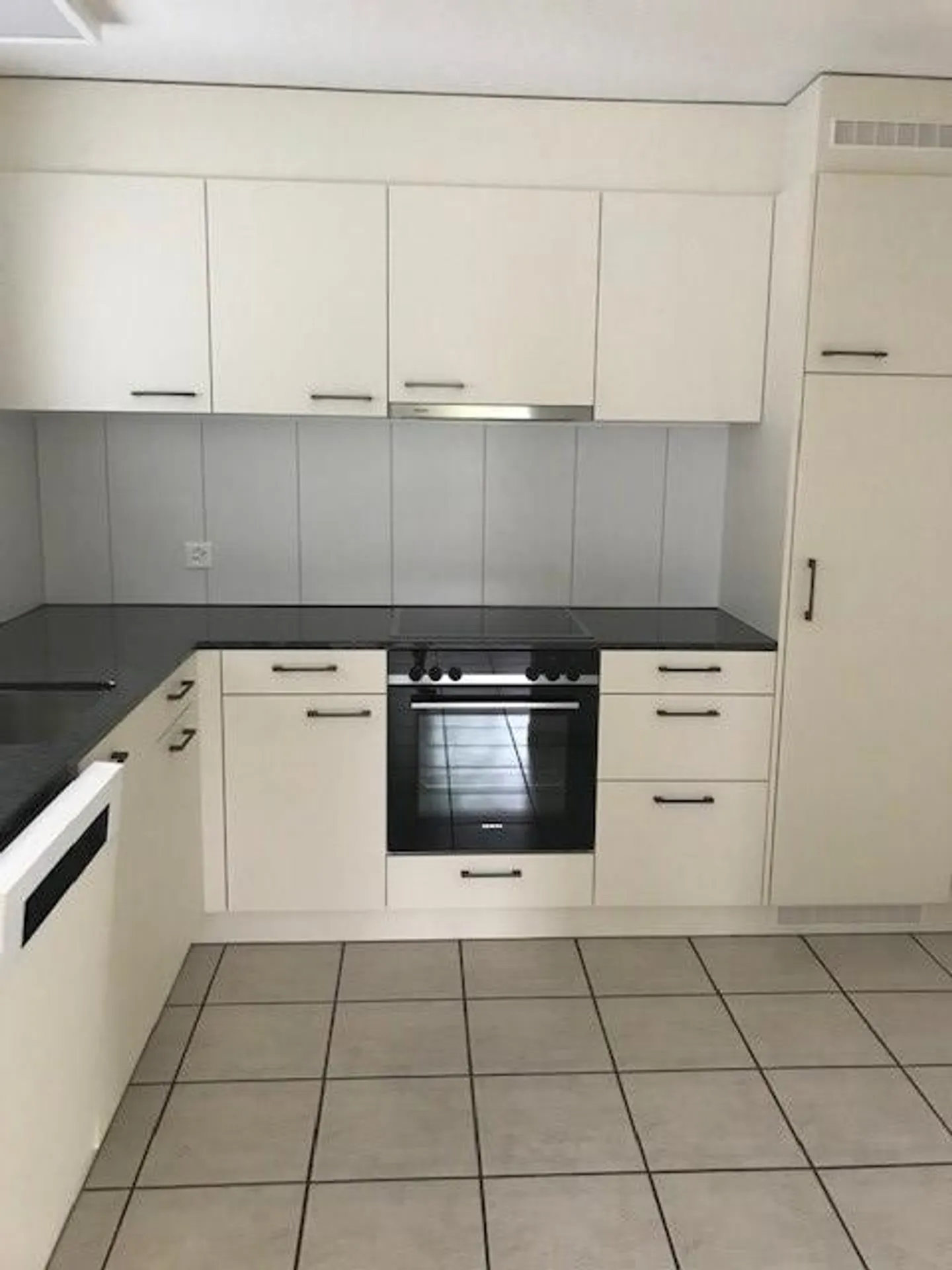 Spacious 3.5 room apartment adjacent to a nature reserve - Photo 2 of 11