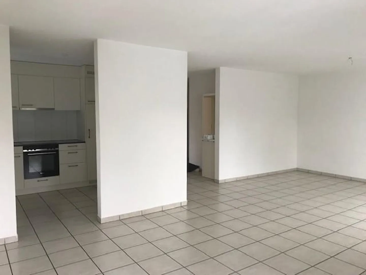 Spacious 3.5 room apartment adjacent to a nature reserve - Photo 3 of 11