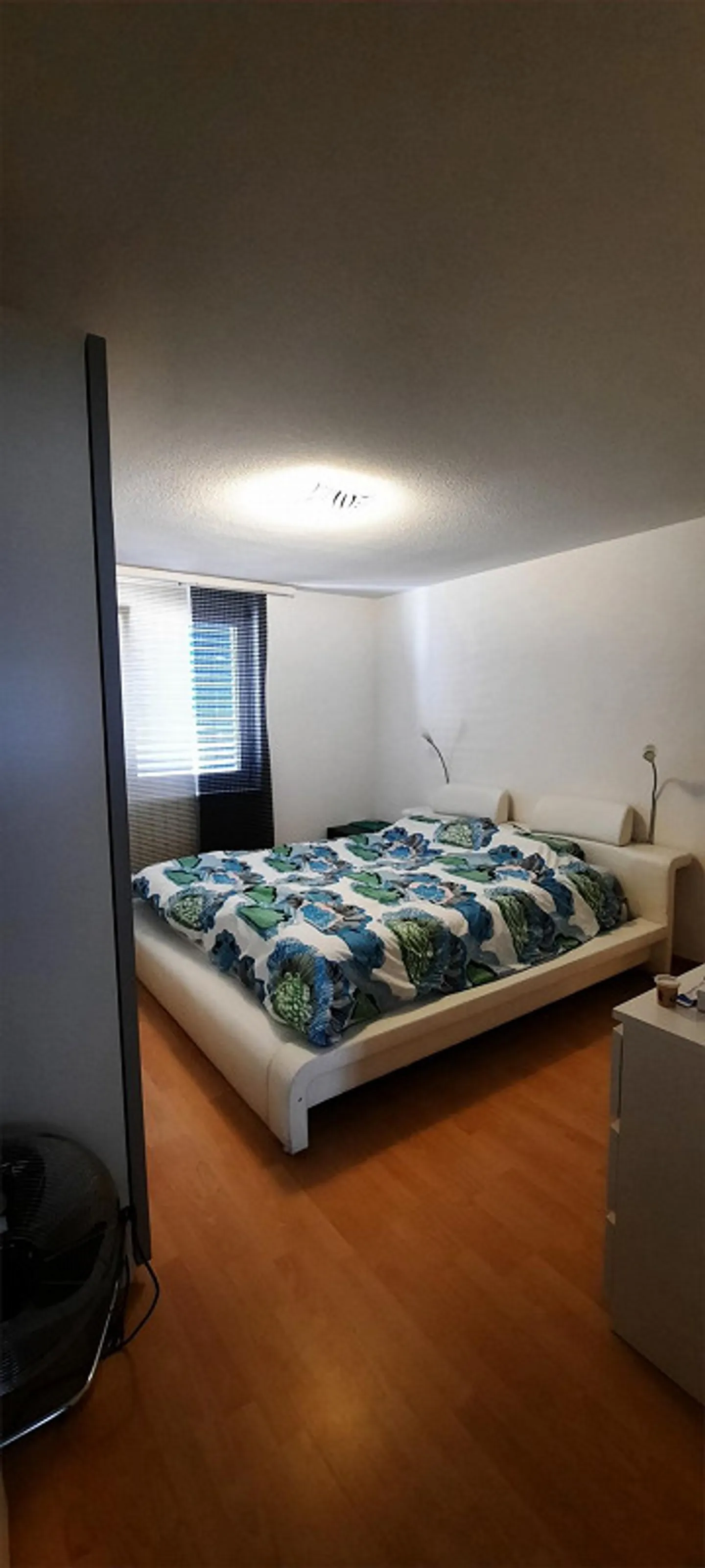 Spacious 3.5 room apartment adjacent to a nature reserve - Photo 10 of 11