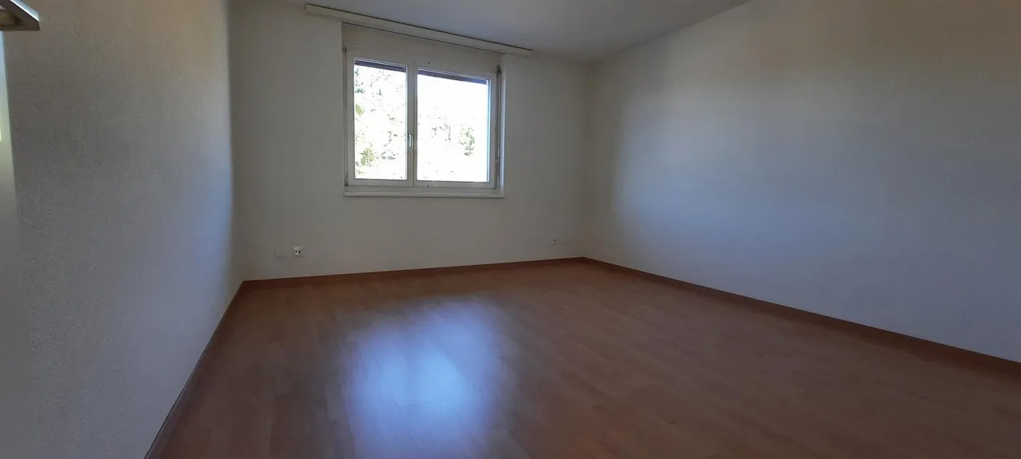 Spacious 3.5 room apartment adjacent to a nature reserve - Photo 11 of 11