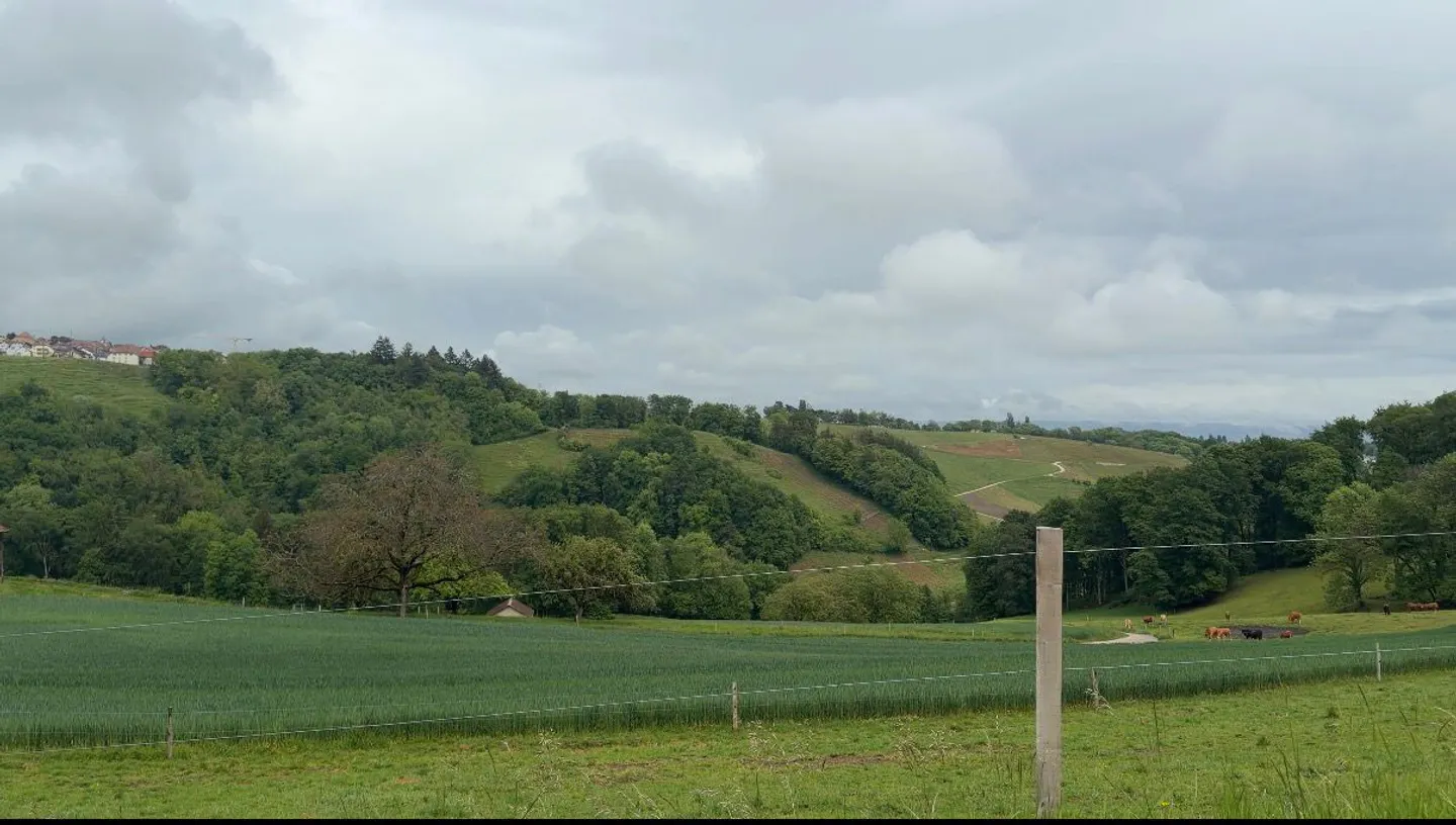 Charming Agricultural Plot - Photo 1 of 6