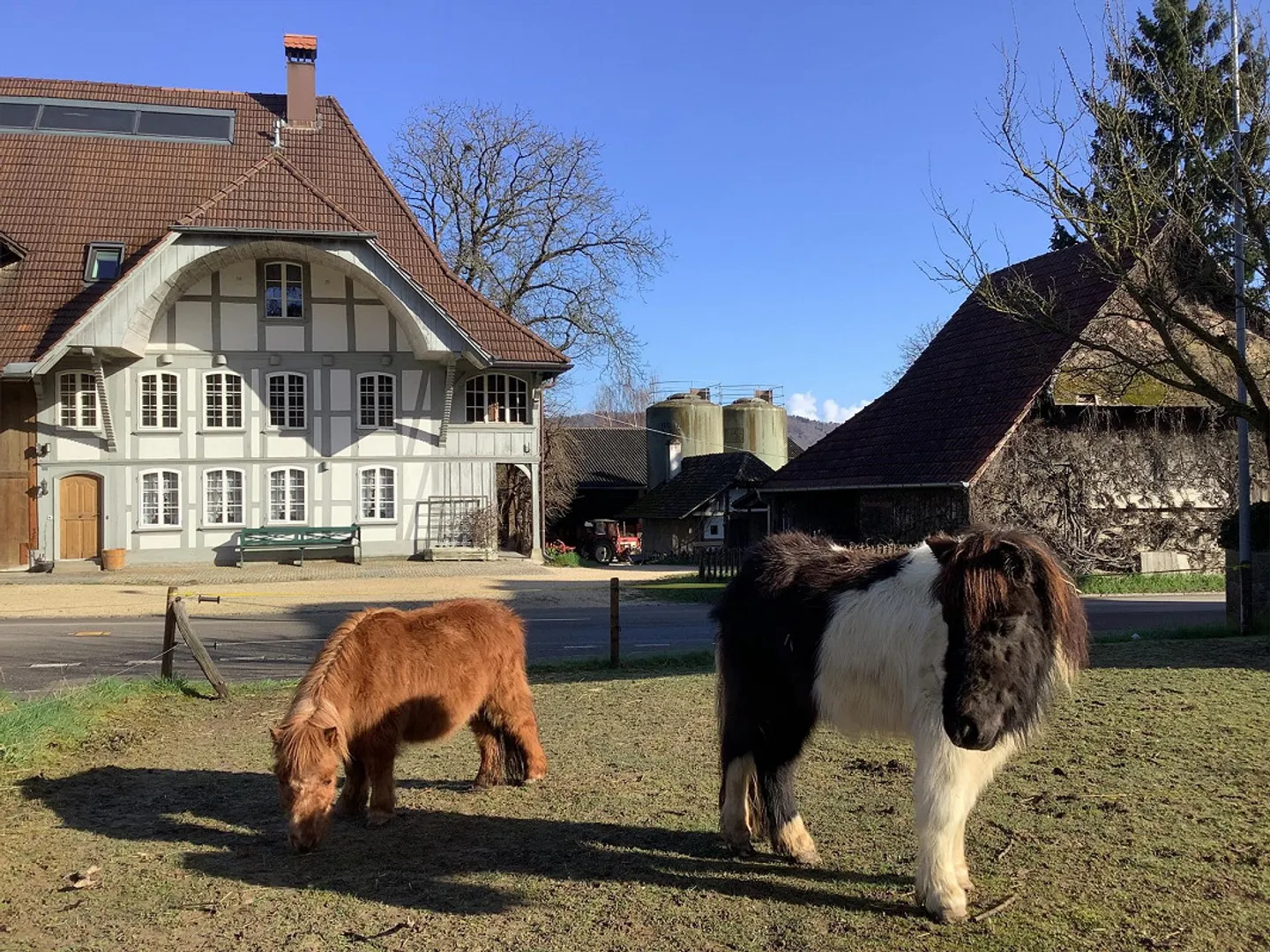 190m2 di spazio abitativo - Prima locazione in una fattoria biologica. - Foto 1 di 20
