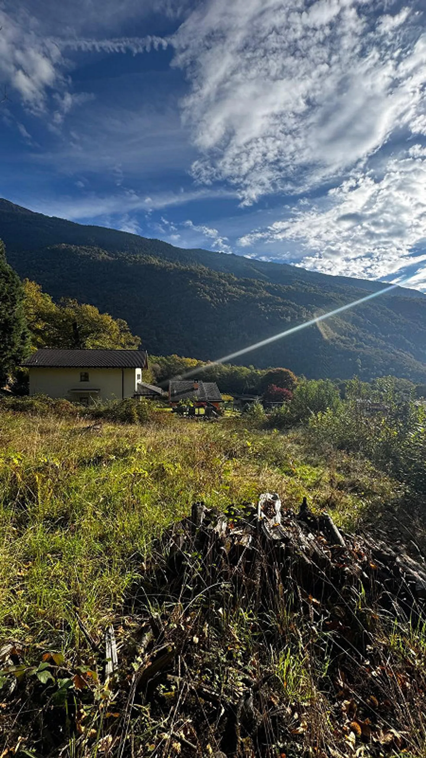 Terreno edificabile con piscina naturale a Giornico - Residenza pri... - Foto 6 von 7