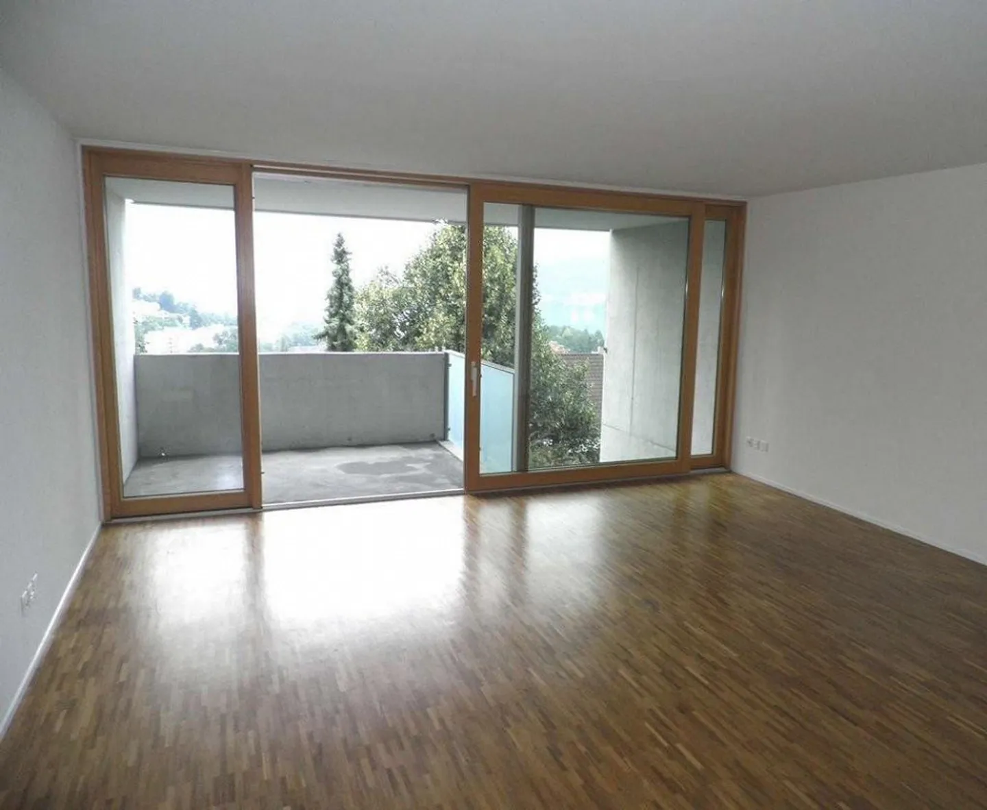 Living with lake and mountain views - Photo 2 of 6