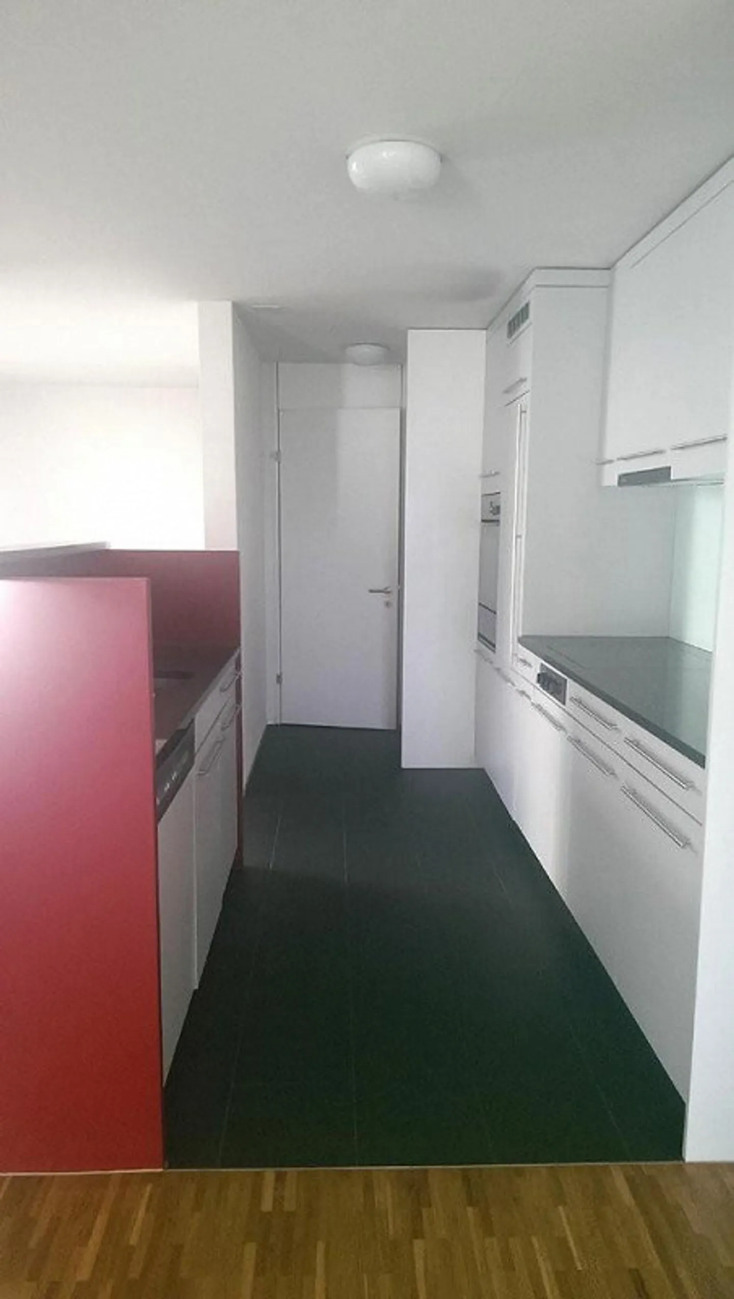 Living with lake and mountain views - Photo 3 of 6