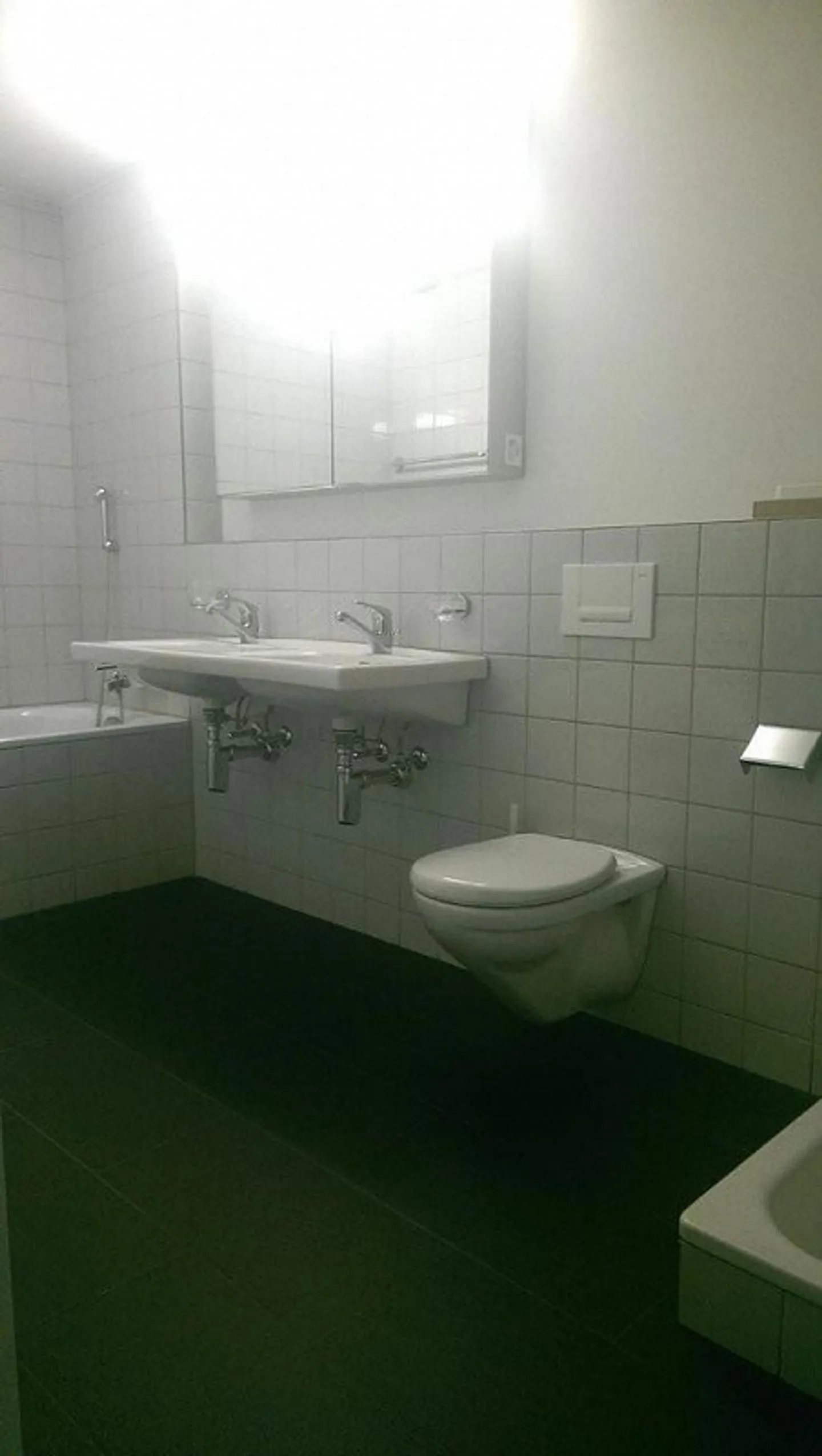 Living with lake and mountain views - Photo 4 of 6