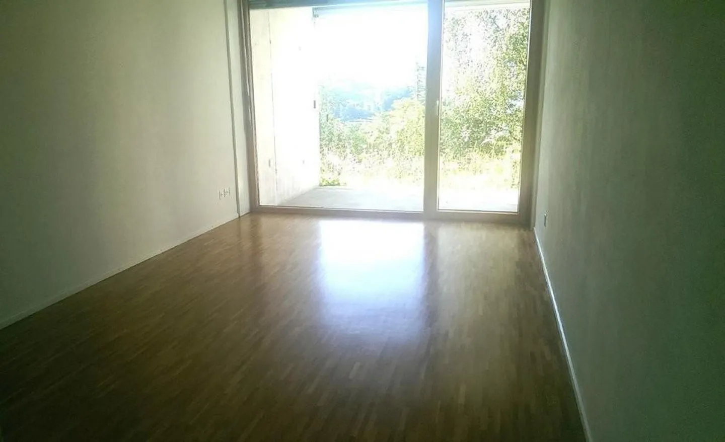 Living with lake and mountain views - Photo 5 of 6