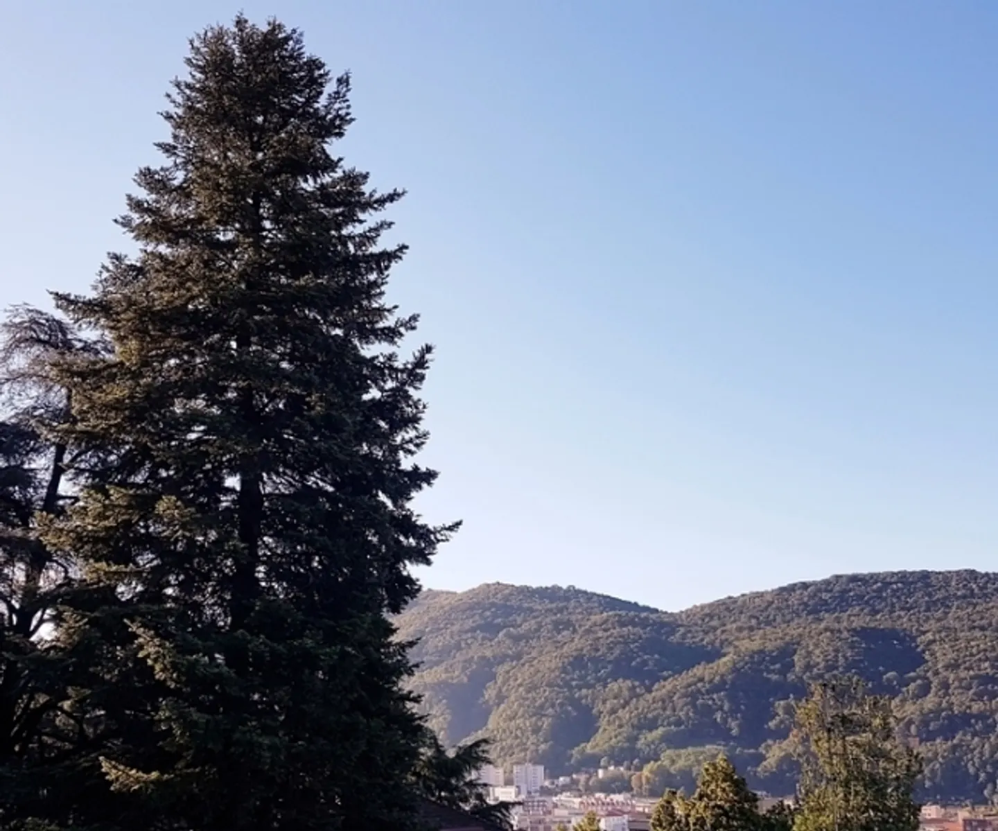 1½ ROOM APARTMENT IN VACALLO (TI), FURNISHED - Photo 10 of 10