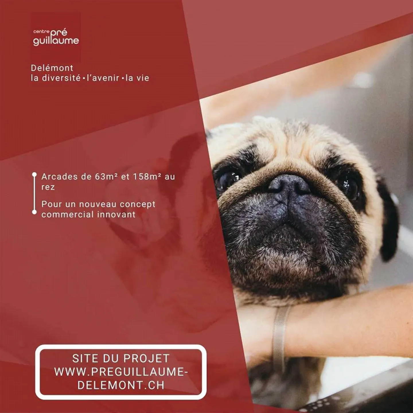 Modular commercial space from 160m2 to 380m2 - Photo 3 of 8