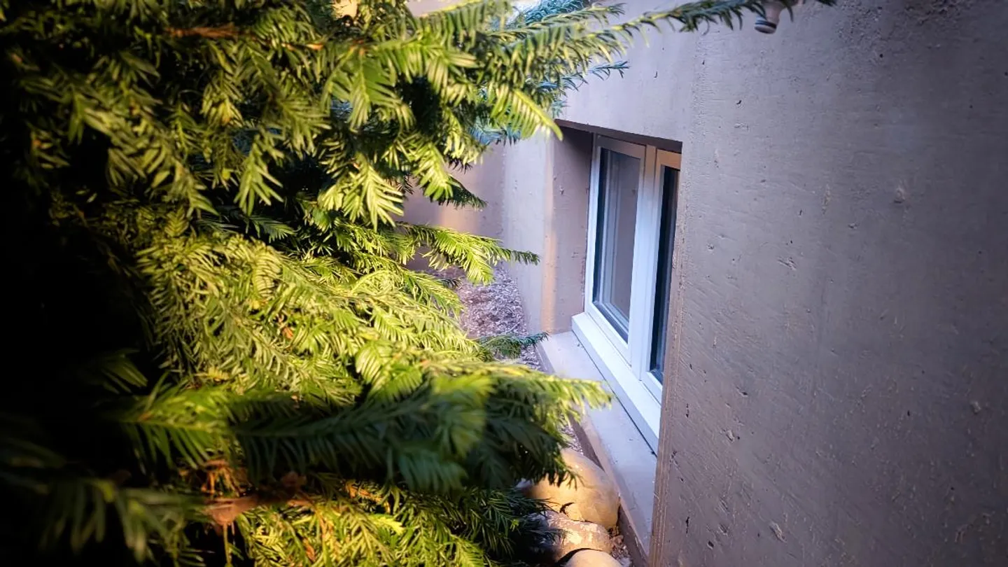 Hobby Room - Photo 5 of 5