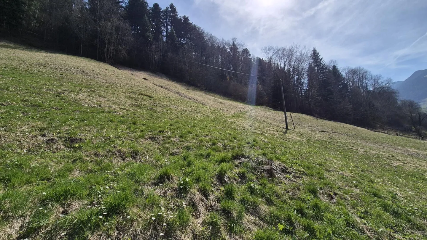 Chalet 5 rooms in Troistorrents - Photo 20 of 21