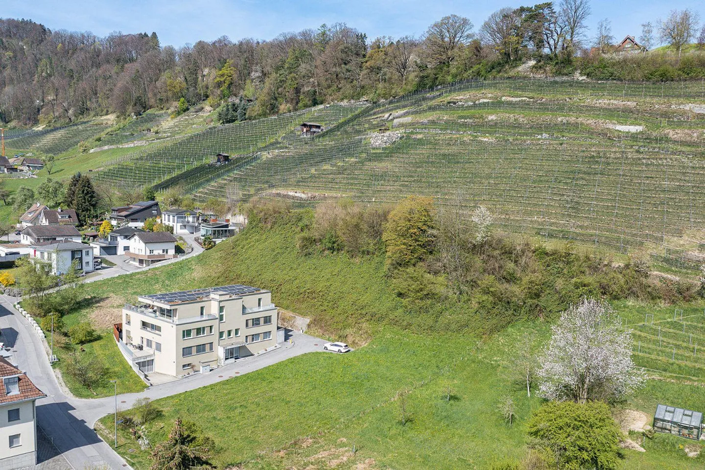 Building Plot - Photo 4 of 6