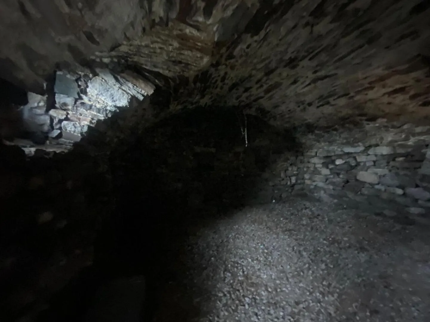 Charming Renovation Project Chalet - Photo 8 of 11