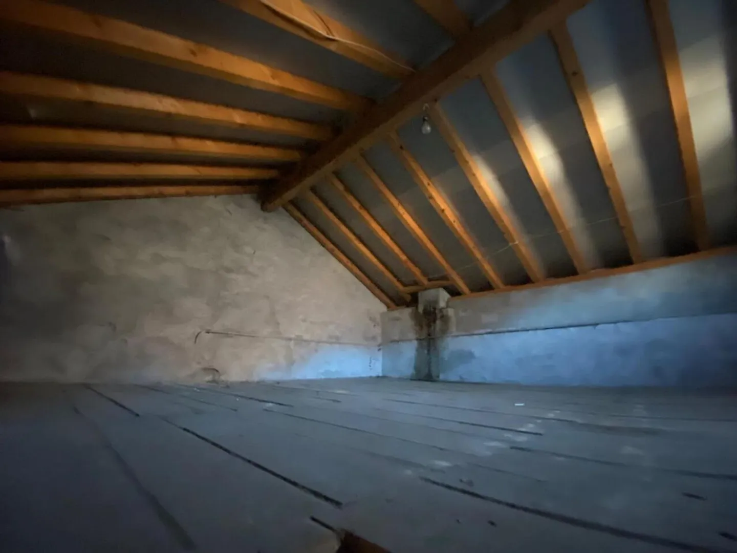 Charming Renovation Project Chalet - Photo 9 of 11