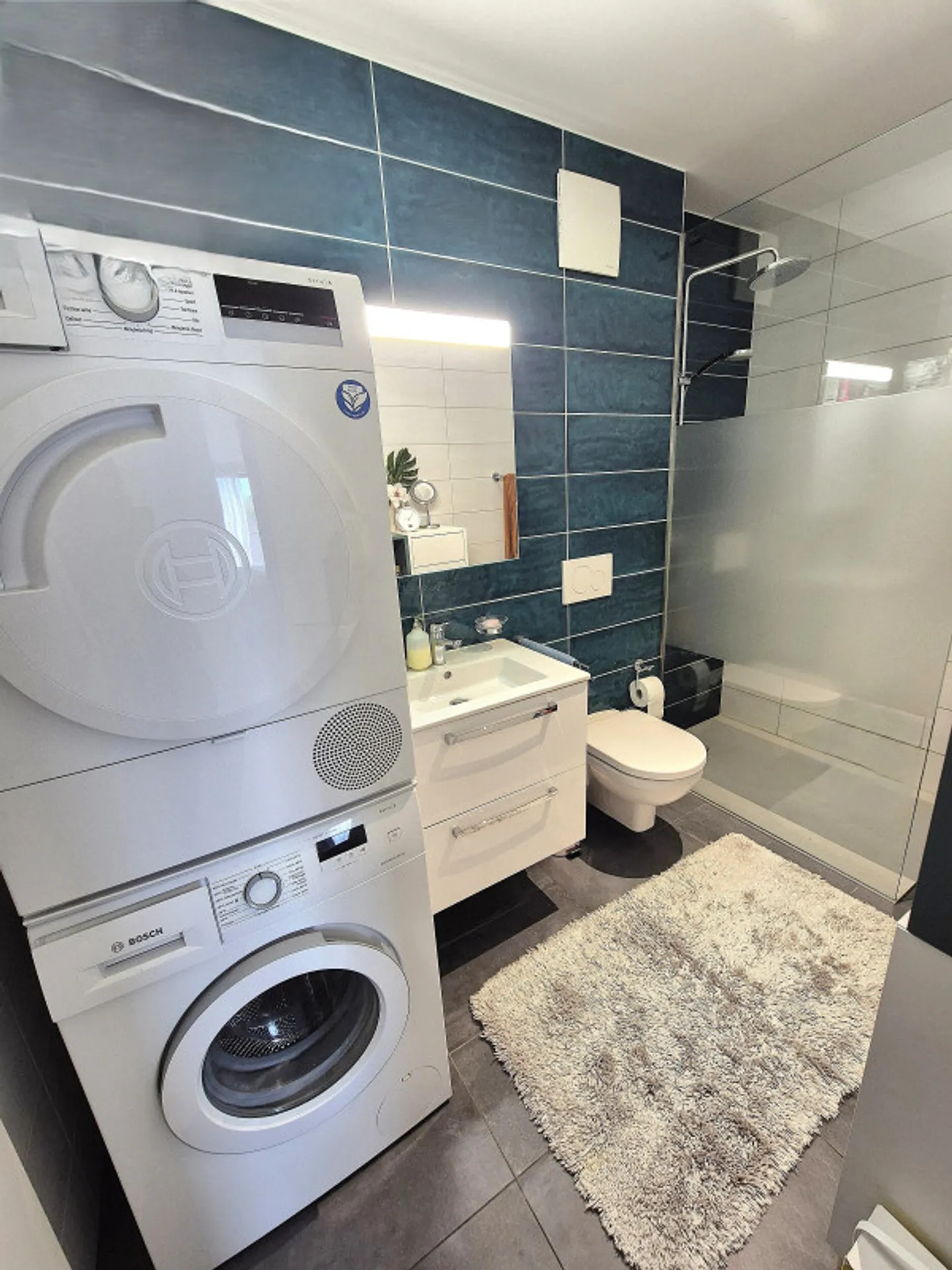 Superbo attico duplex Minergie di 4,5 locali a due passi dal lago - Foto 9 di 11