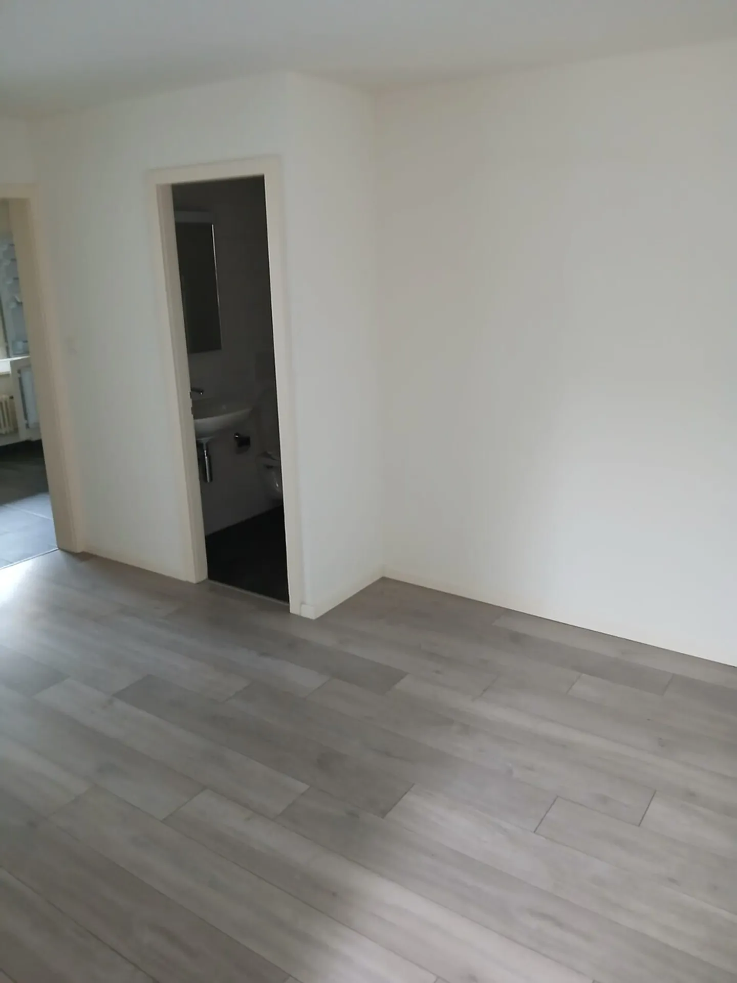 Incantevole appartamento di 3.5 locali a Liestal - Foto 10 di 13