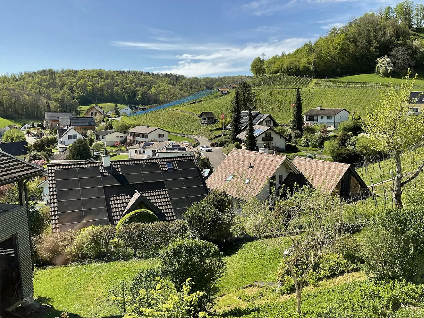 Charmante Wohnung mit Gartenblick - Foto 7 von 8