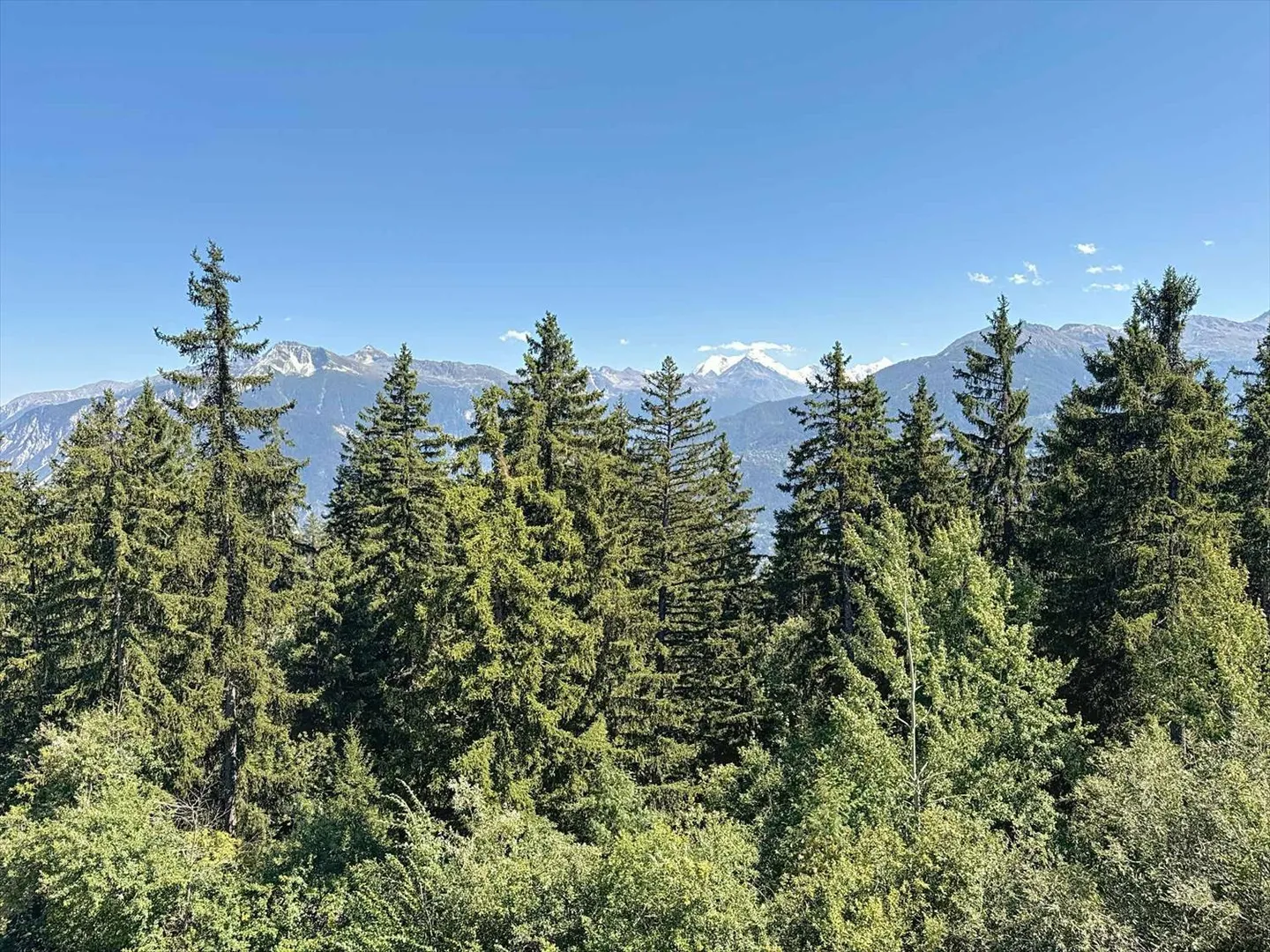 Bellissimo appartamento di 4,5 locali + studio annesso con vista sulle Alpi - Foto 1 di 13