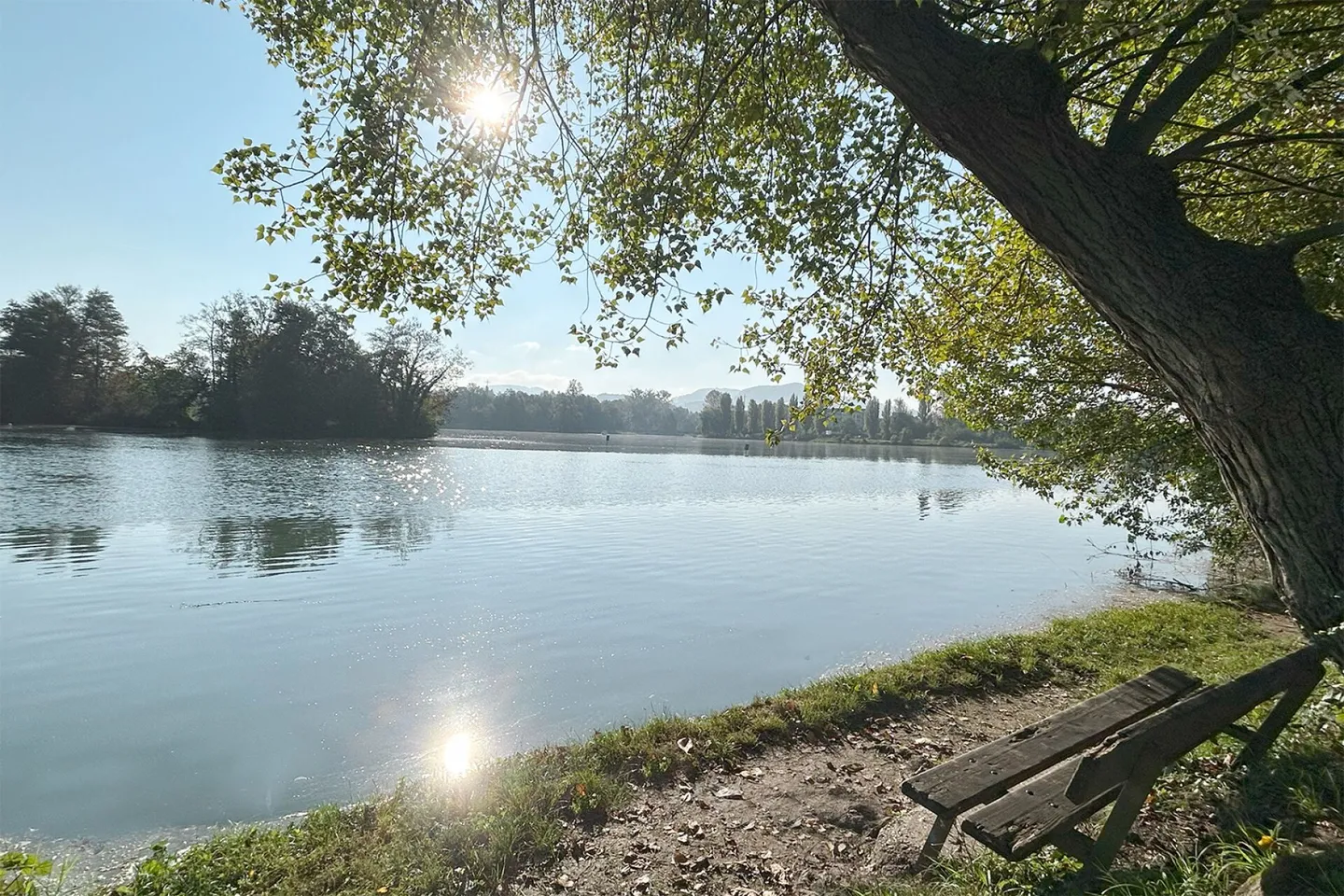 Appartamenti attici eleganti di 3,5 stanze con galleria ad Augst BL - Foto 9 di 9