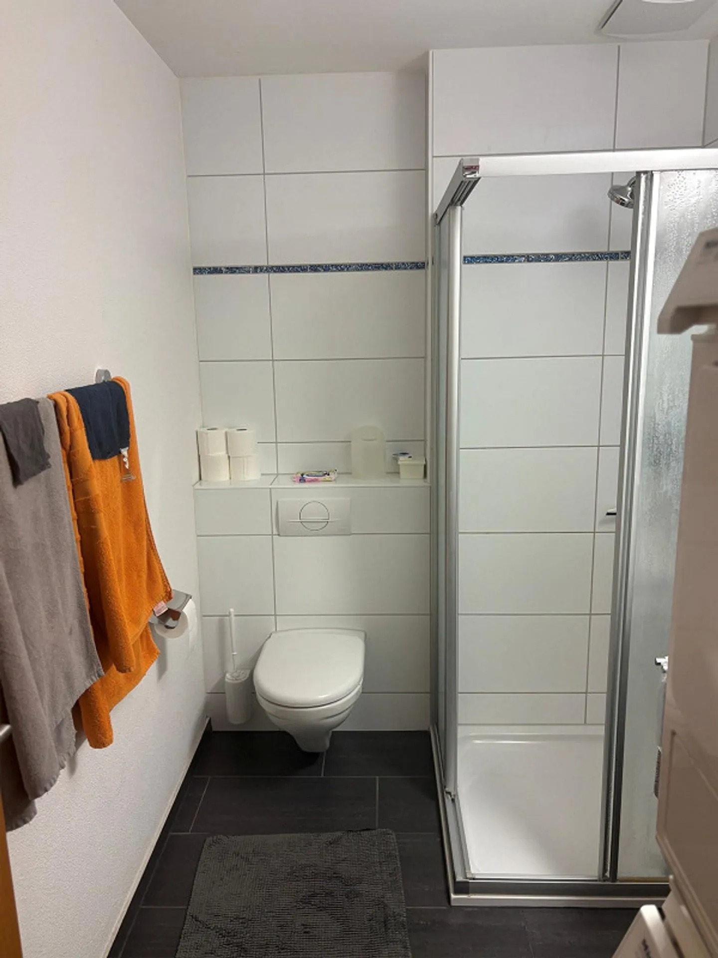 Appartamento di 4,5 stanze in un quartiere adatto alle famiglie e tranquillo - Foto 4 di 8