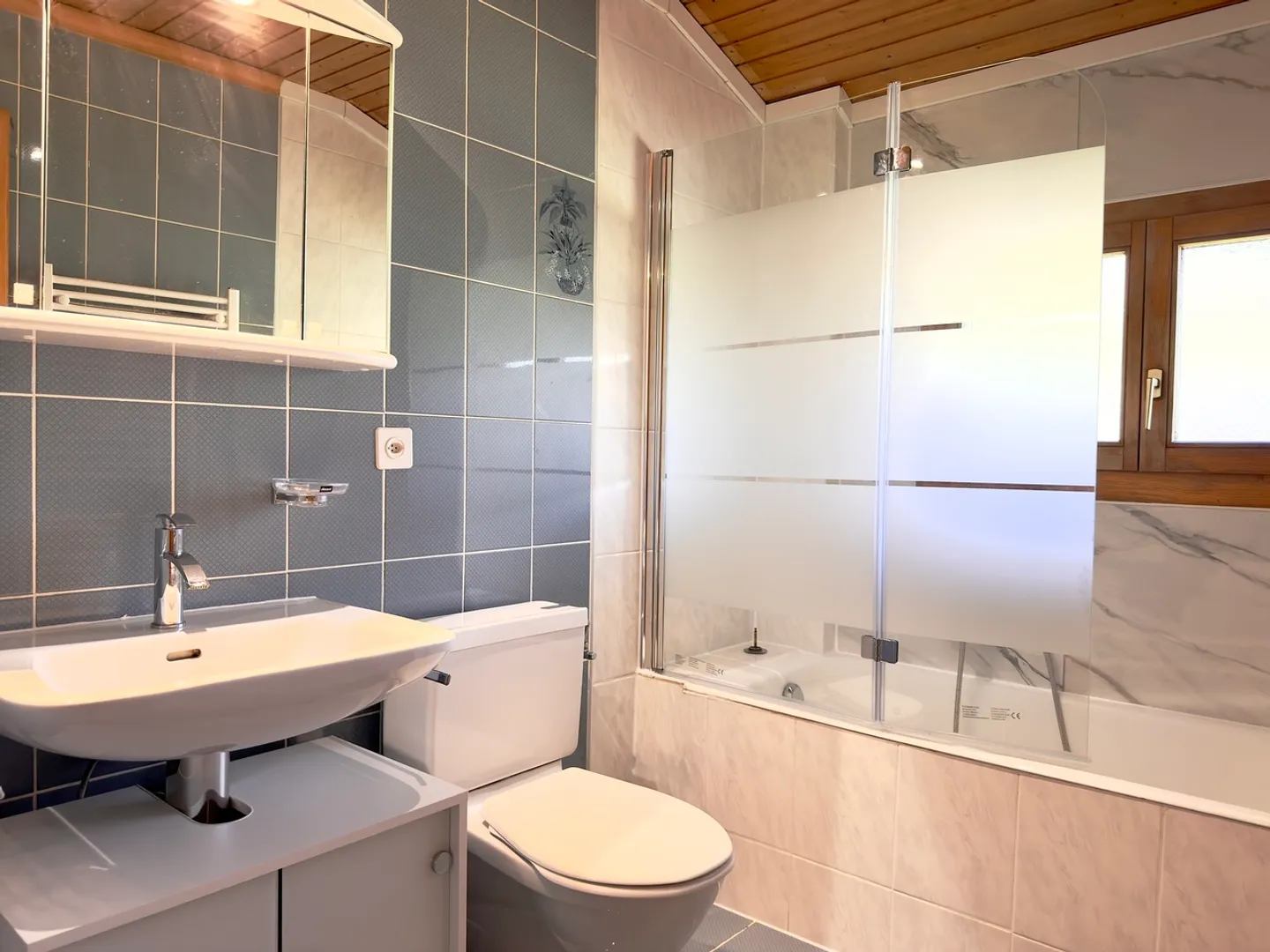 LOC 170 - CHALET LÖWENZAHN - Foto 18 di 26