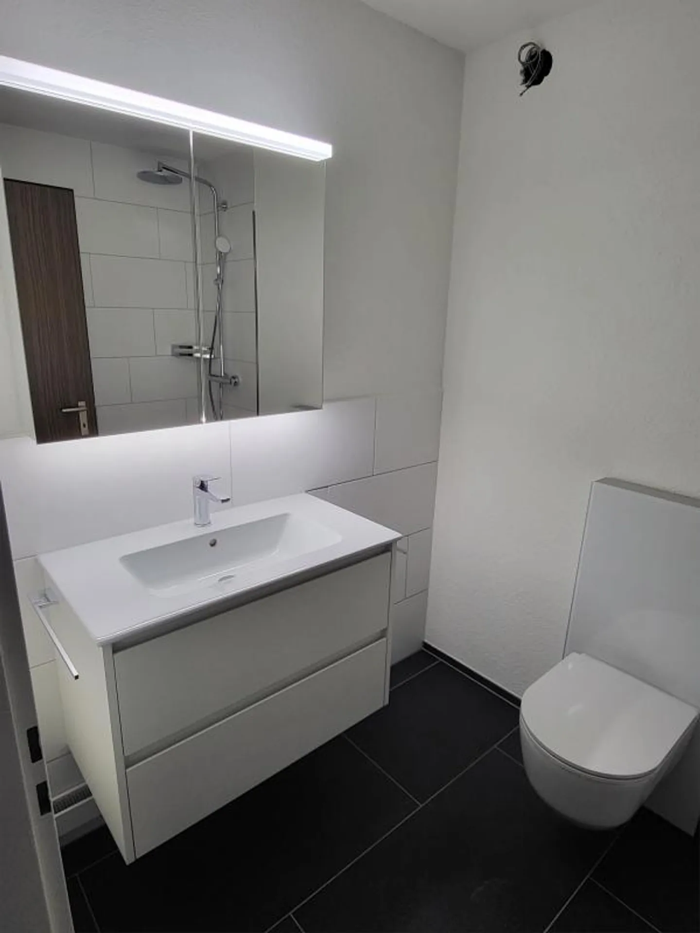 Appartamento 1,5 stanze in affitto - Foto 3 di 5