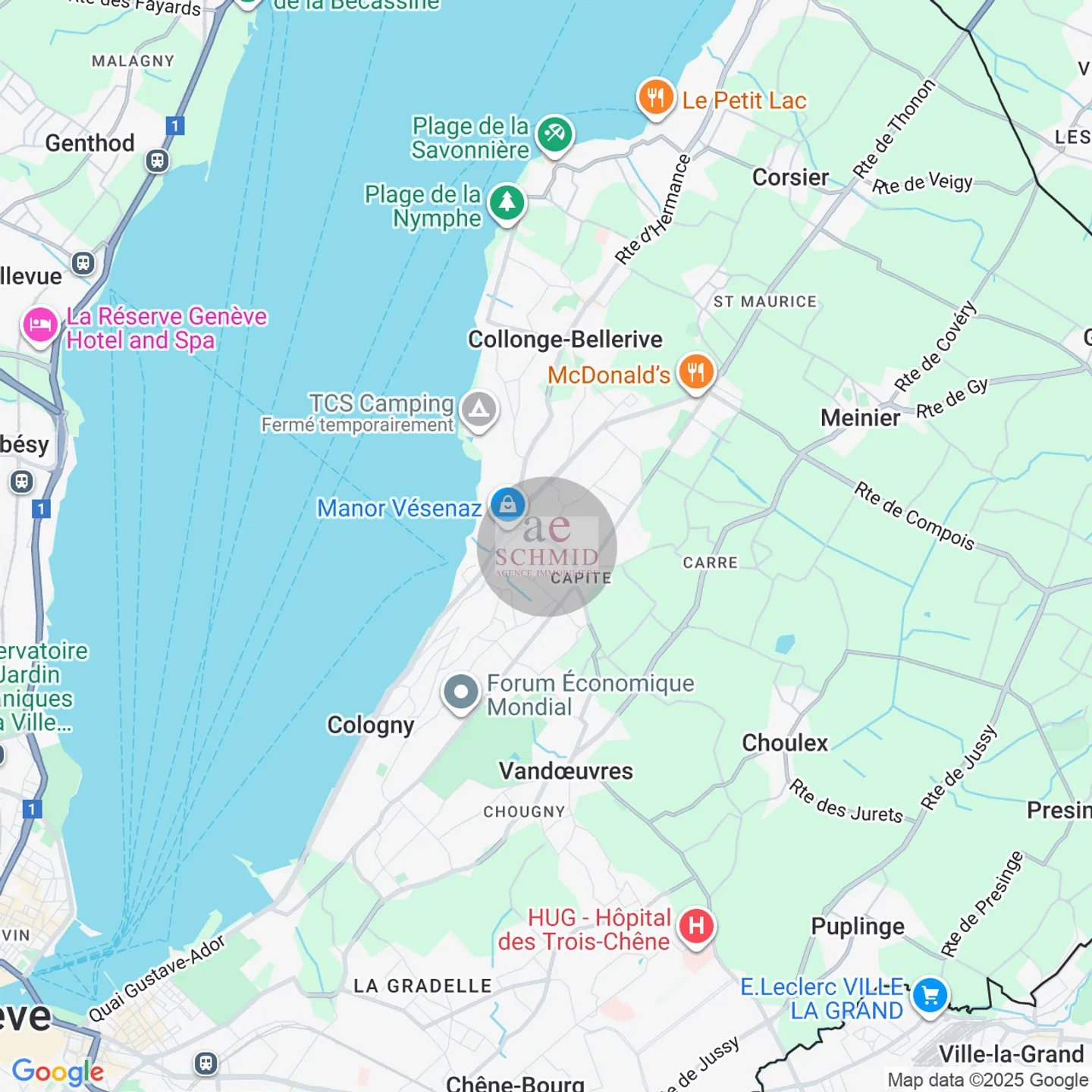 Wundervolle Einzelvilla im Herzen von Vésenaz - Foto 2 von 8