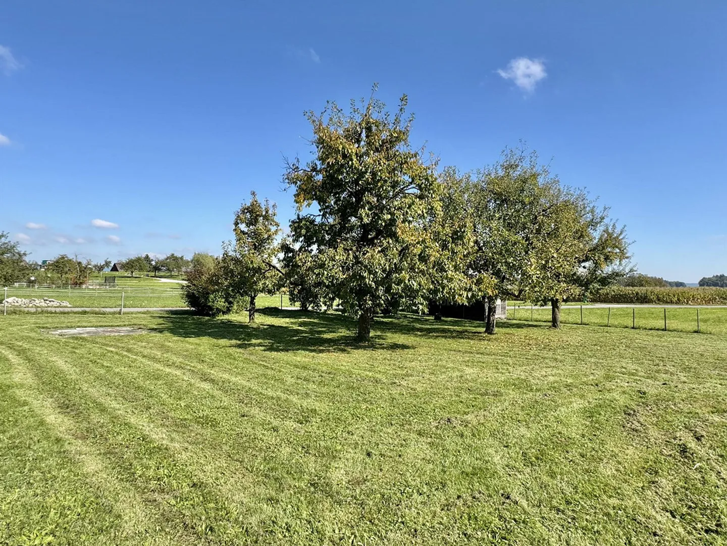 Affascinante casa Riegel con terrazza - Foto 11 di 12