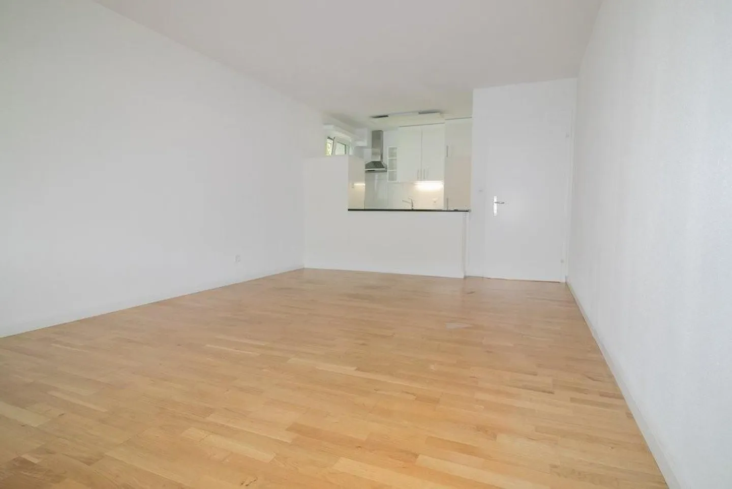 Appartamento spazioso con cucina moderna, balcone e terrazza - Foto 3 di 12