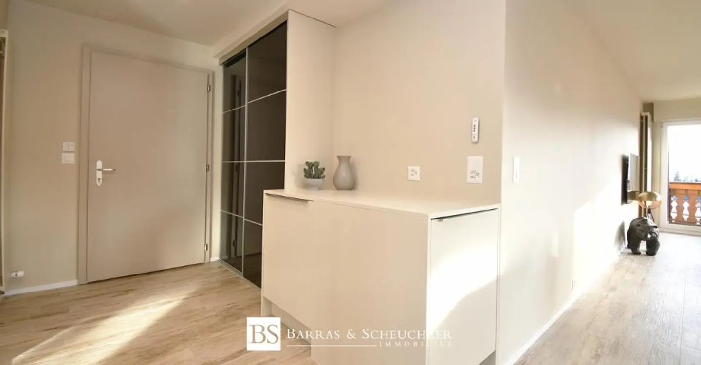 Wunderschöne 2,5 Zimmer renoviert und möbliert, im Stadtzentrum, Rue du Prado - Foto 4 von 8