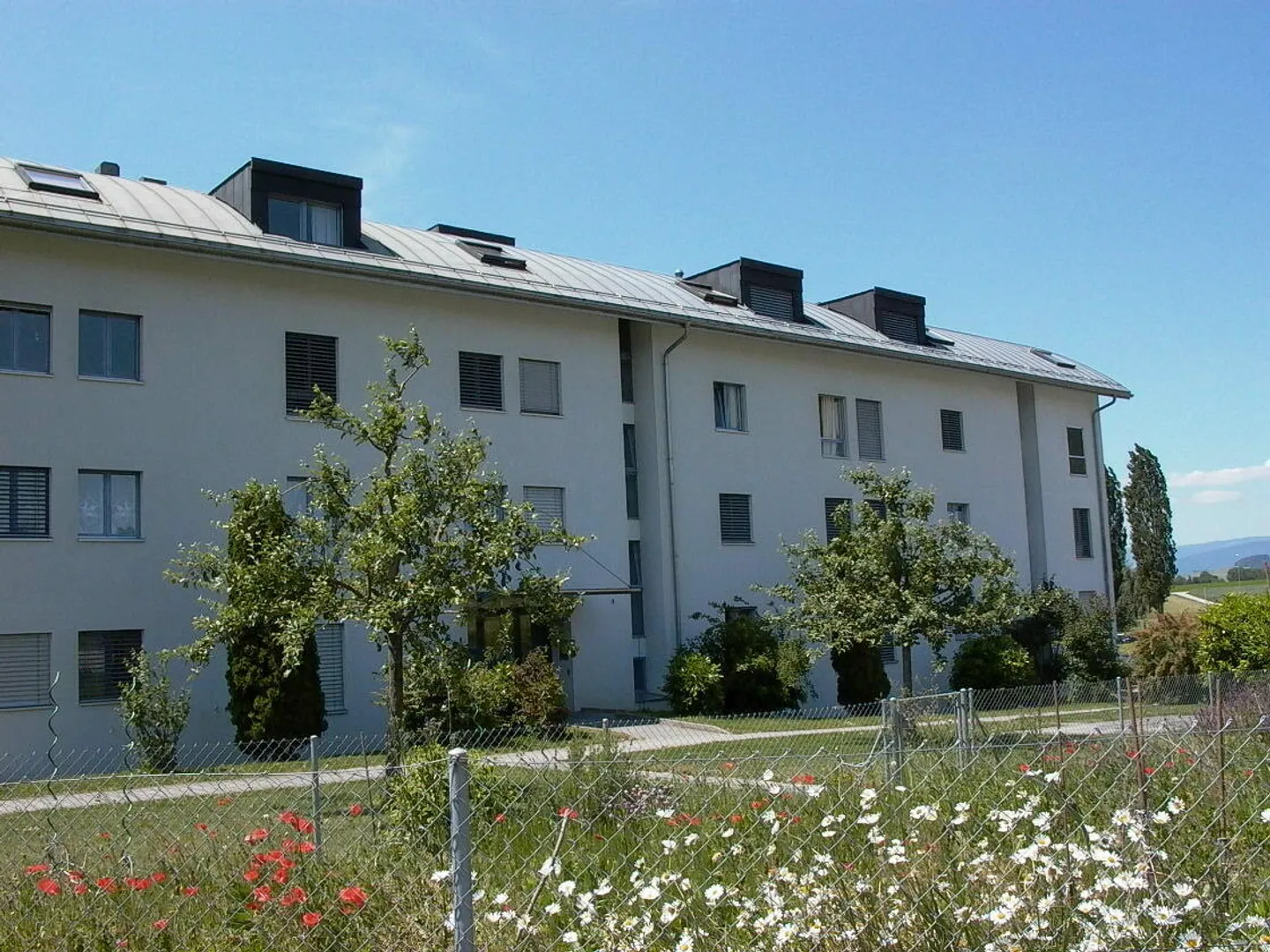 «Suchen. Finden. Wohnen.» - Foto 1 von 9