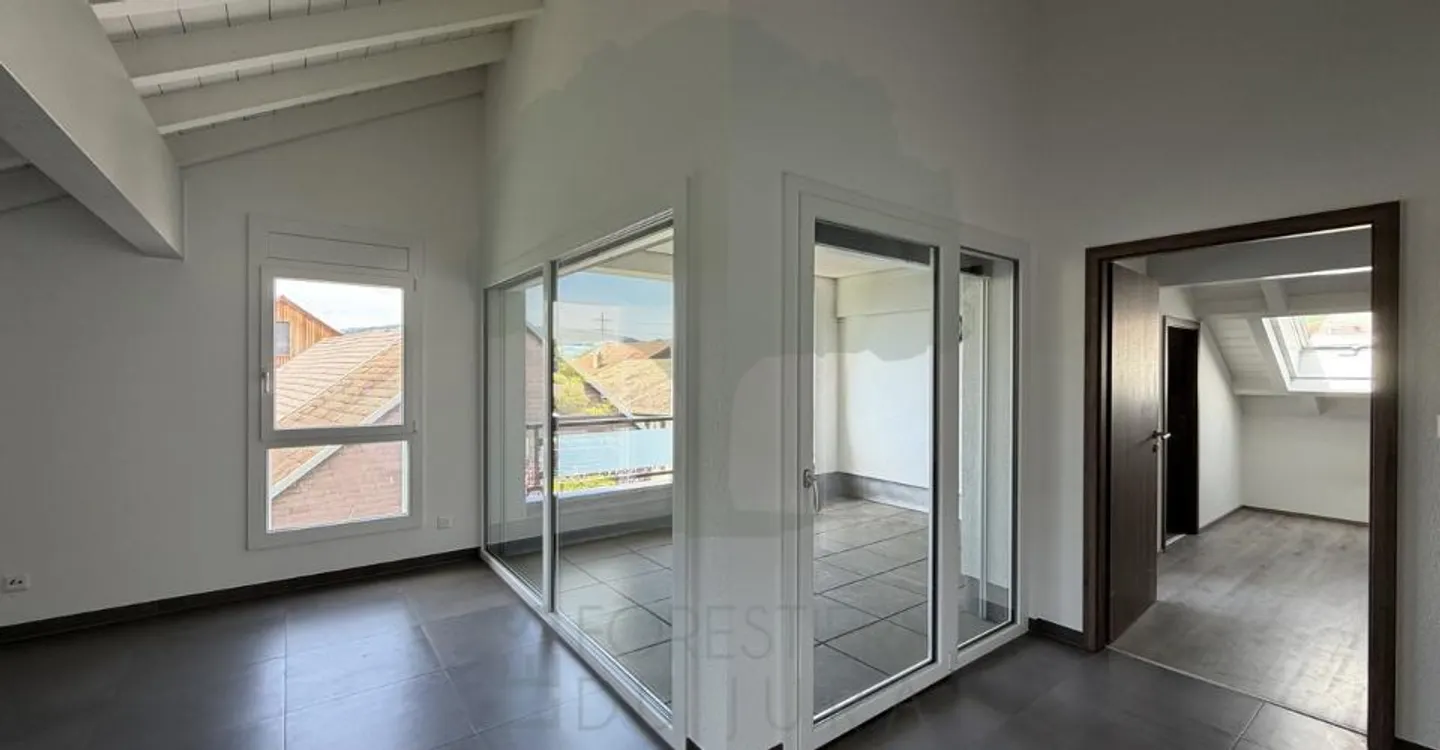 Stunning Minergie Apartment - Photo 8 of 11