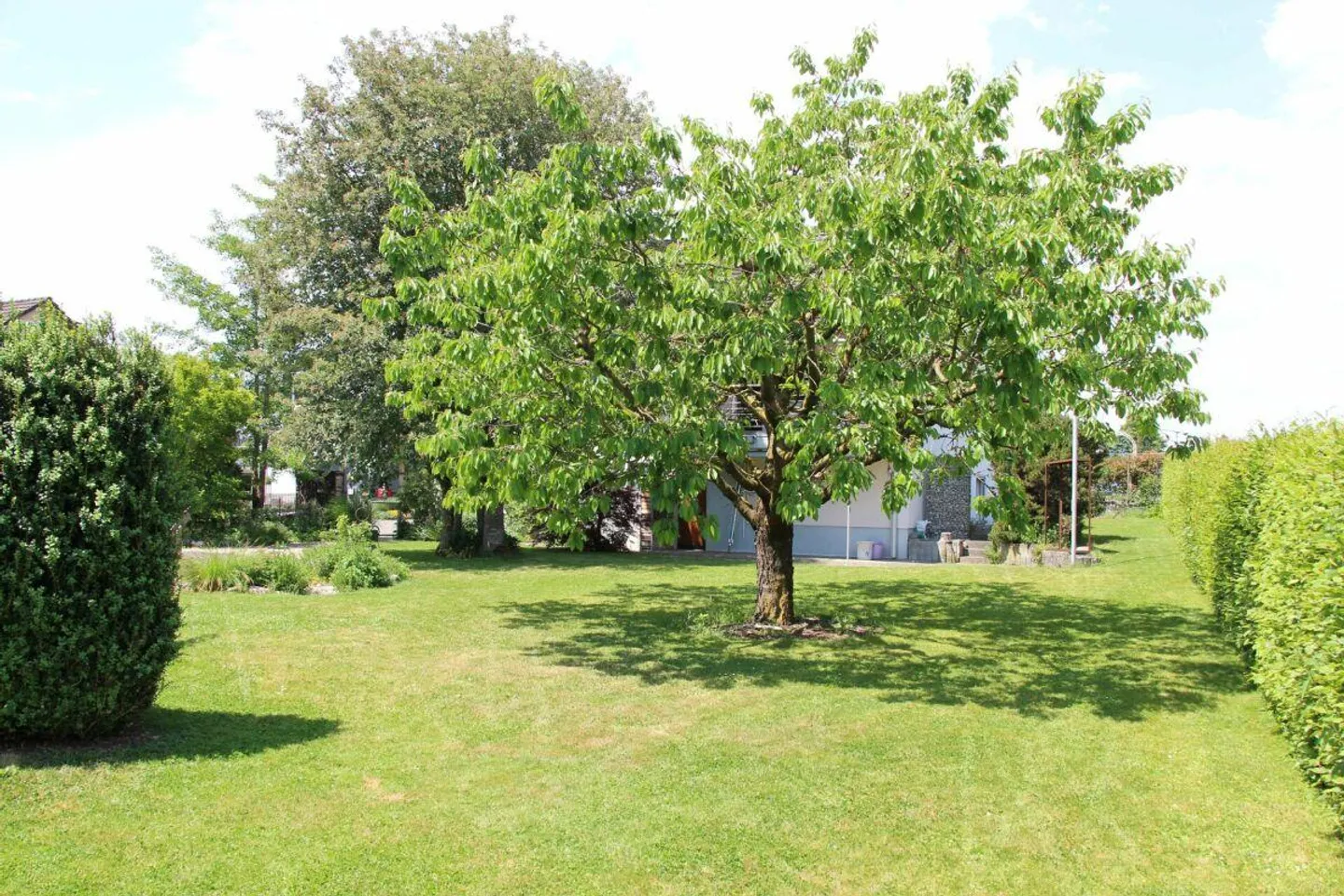 Maison individuelle de 8,5 pièces avec un vaste espace extérieur à Mattwil - Photo 6 sur 20