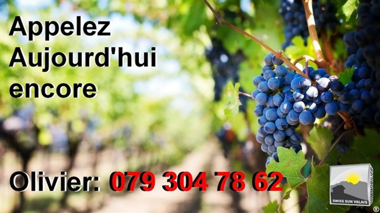 «Grundstück zu vermieten, Plan-Cerisier, in Martigny-Combe, Schweiz» - Foto 2 von 2