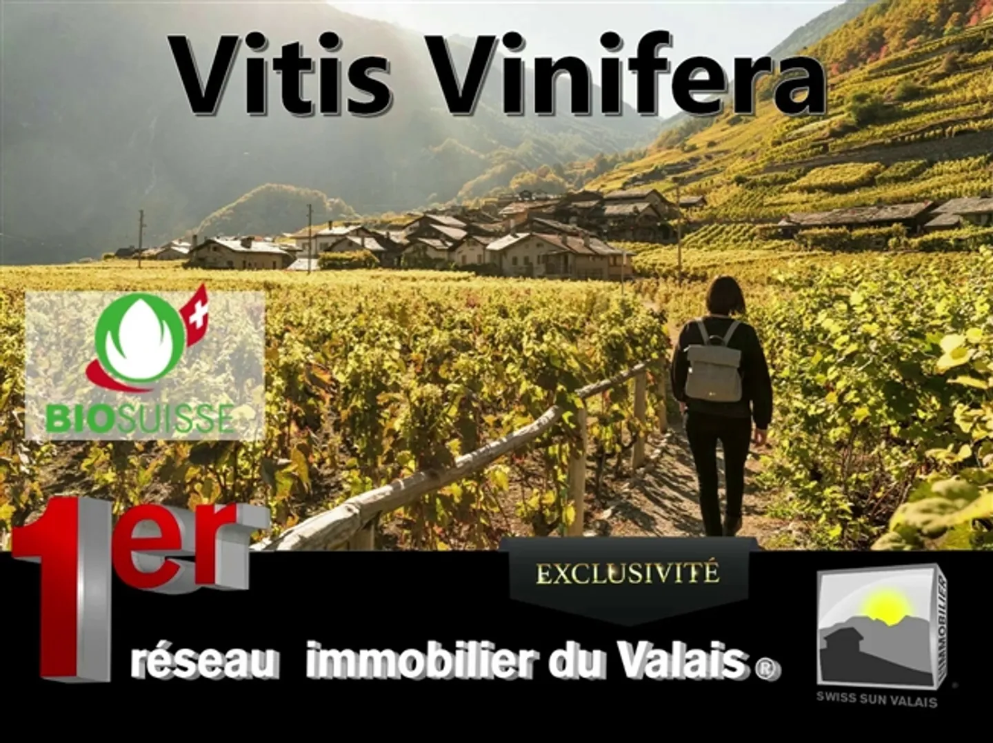 «Grundstück zu vermieten, Plan-Cerisier, in Martigny-Combe, Schweiz» - Foto 1 von 2