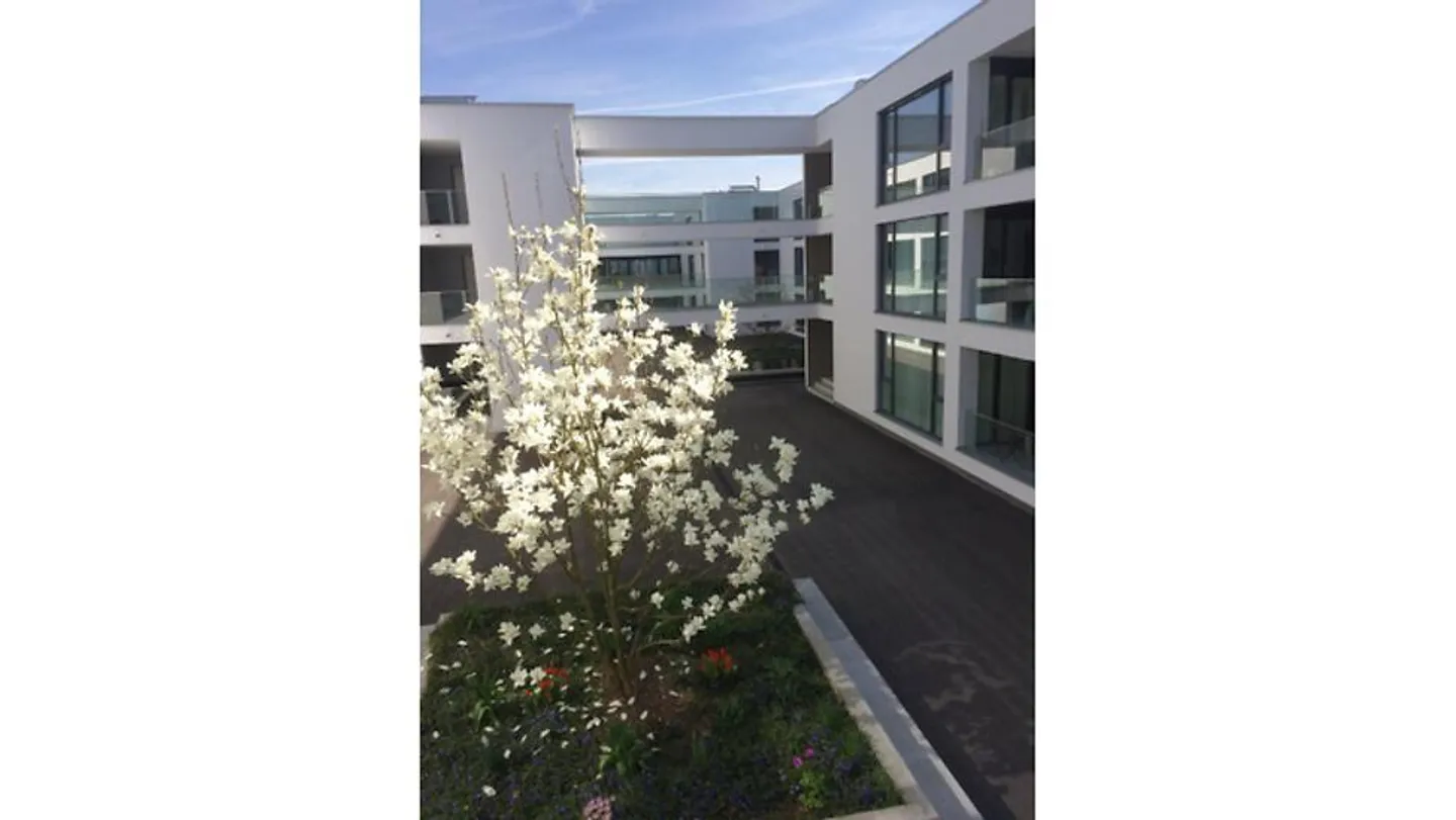 APPARTAMENTO 4½ STANZE AD AARAU (AG), ARREDATO, TEMPORANEO - Foto 9 di 10