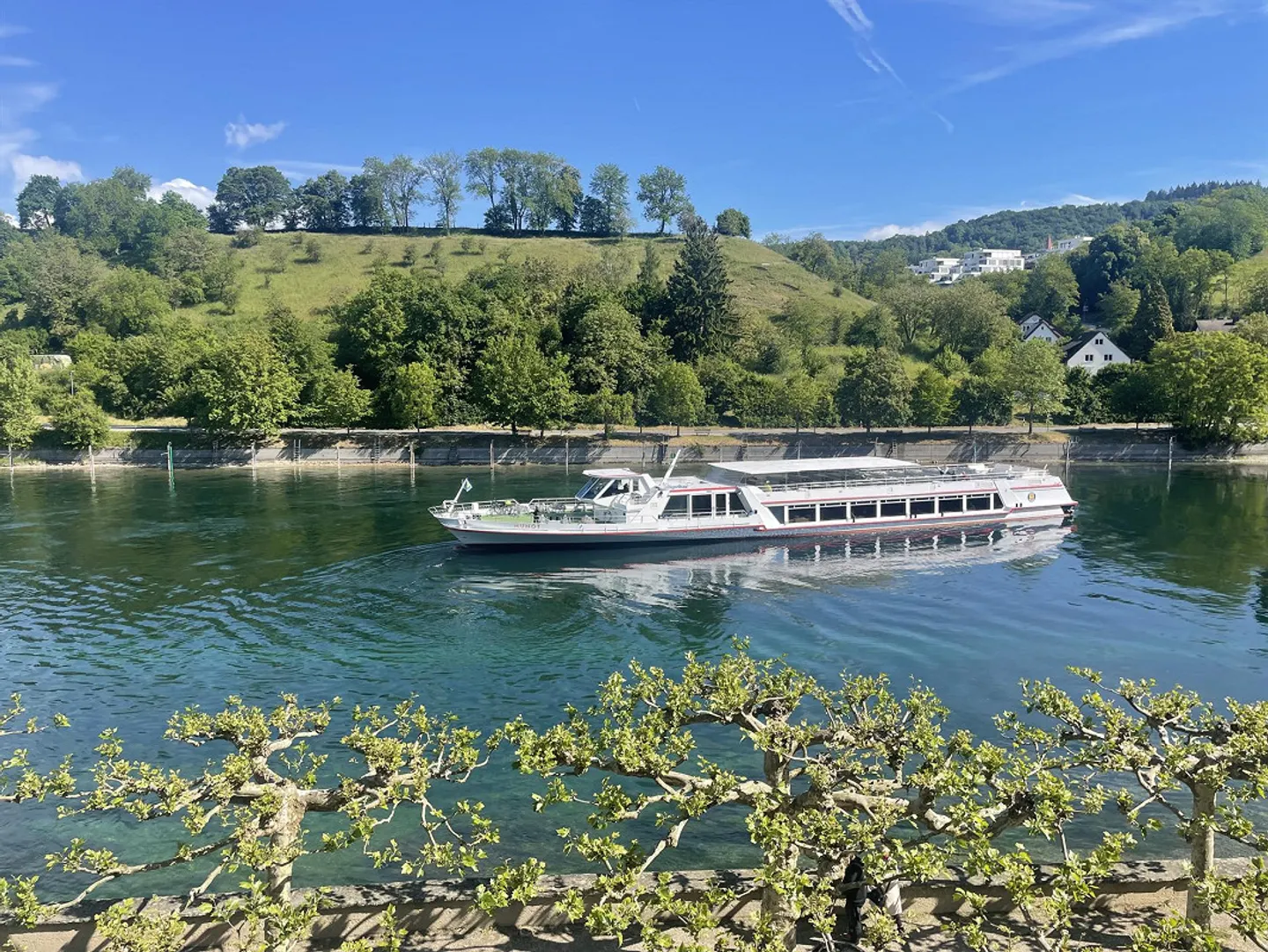 Living by the Rhine - Photo 3 of 14