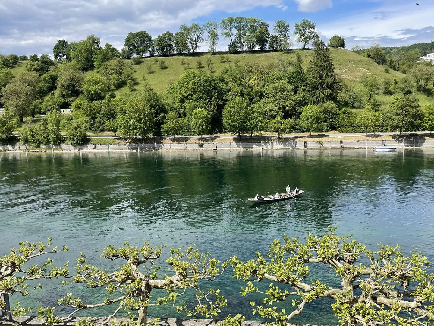 Living by the Rhine - Photo 4 of 14