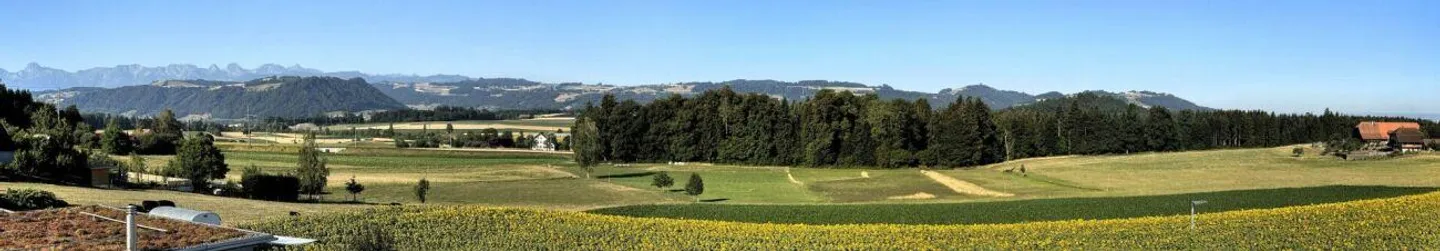 Esclusiva casa a schiera di 5½ locali con vista panoramica - Foto 5 di 17